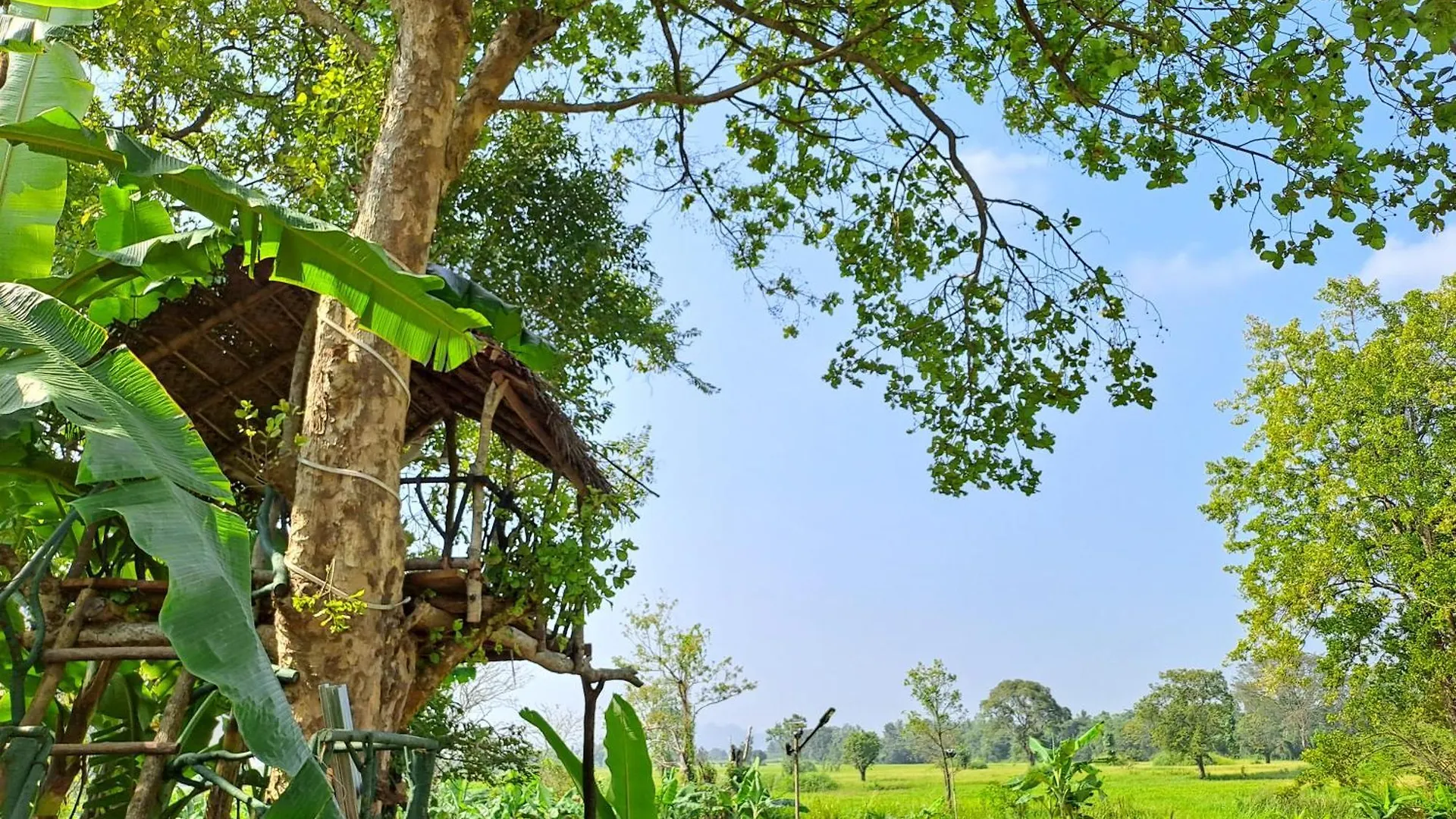 The Nature Park Villa Sigiriya 3*,